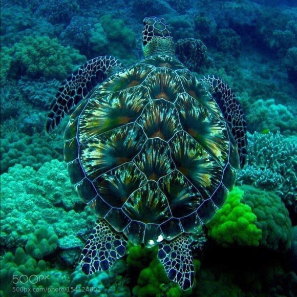 🔆 NEW Black fashion funky earrings - Picture 6 of 6